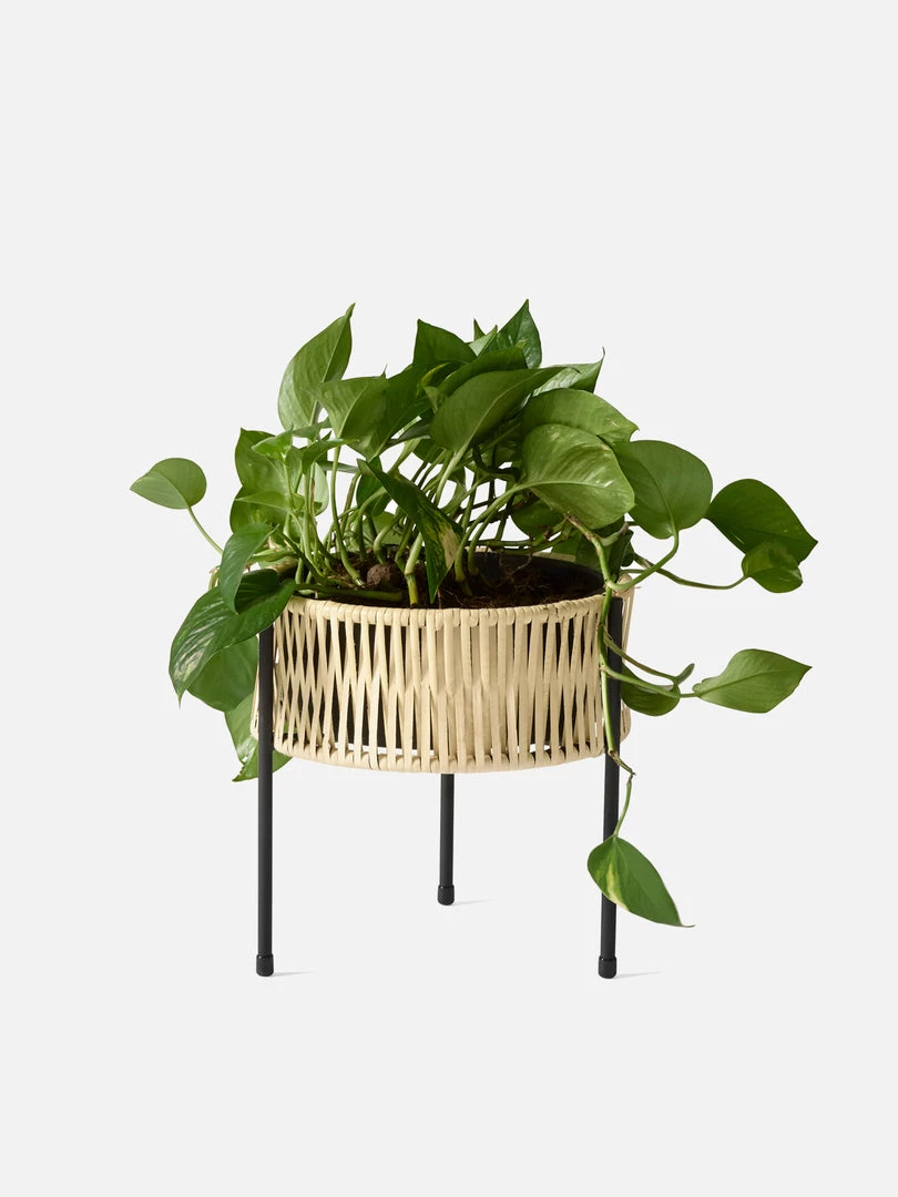 Arthur Umanoff Umanoff Planter Accessories 15 Arthur Umanoff Umanoff Planter Accessories