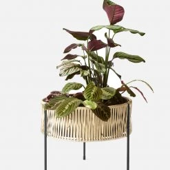 Arthur Umanoff Umanoff Planter Accessories 39 Arthur Umanoff Umanoff Planter Accessories