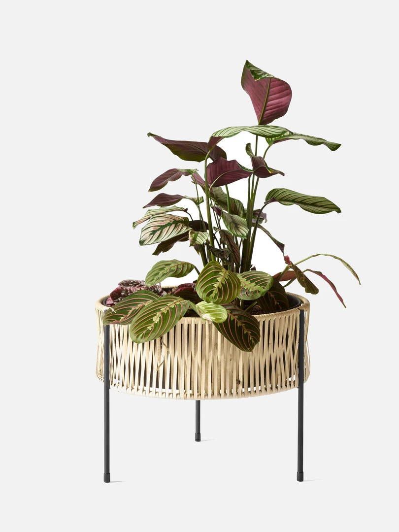 Arthur Umanoff Umanoff Planter Accessories 20 Arthur Umanoff Umanoff Planter Accessories