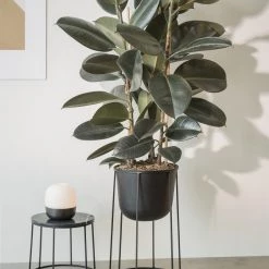 Norm Architects Accessories Wire Base