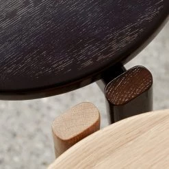 Krøyer-Sætter-Lassen Passage Stool