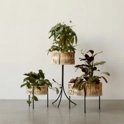 Arthur Umanoff Umanoff, Planter, Set Of 3 Accessories